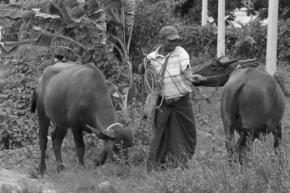 Фотография автора Hla Moe