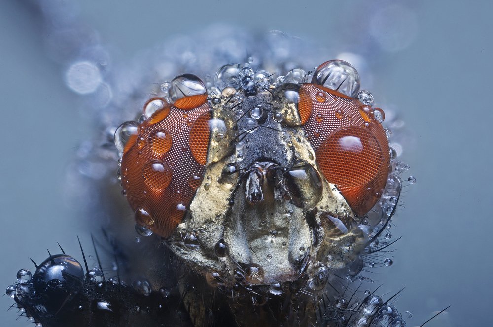 Photograph by Иван Радьков