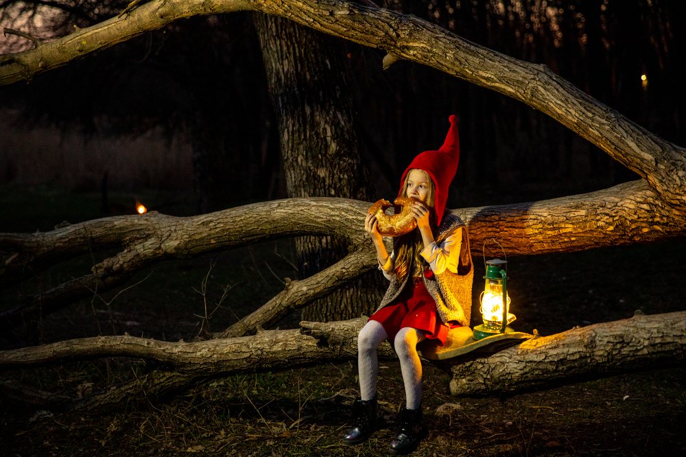 лесная сказка