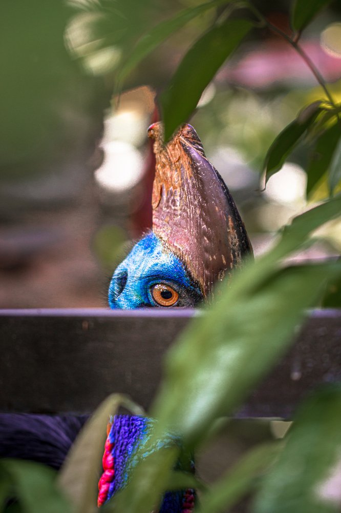 Photograph by Алексей Артышко