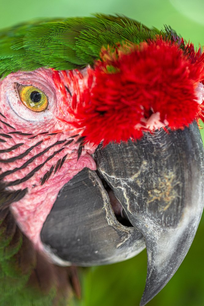 Photograph by Алексей Артышко