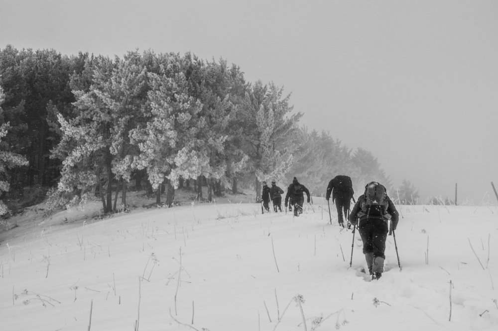 Photograph by Василий Шумкин