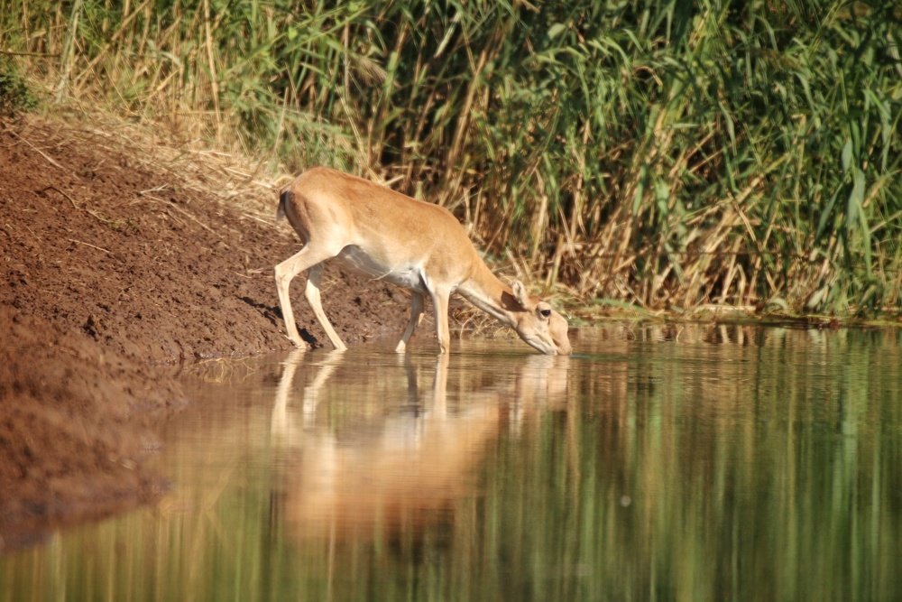 Photograph by Maria Tripoten