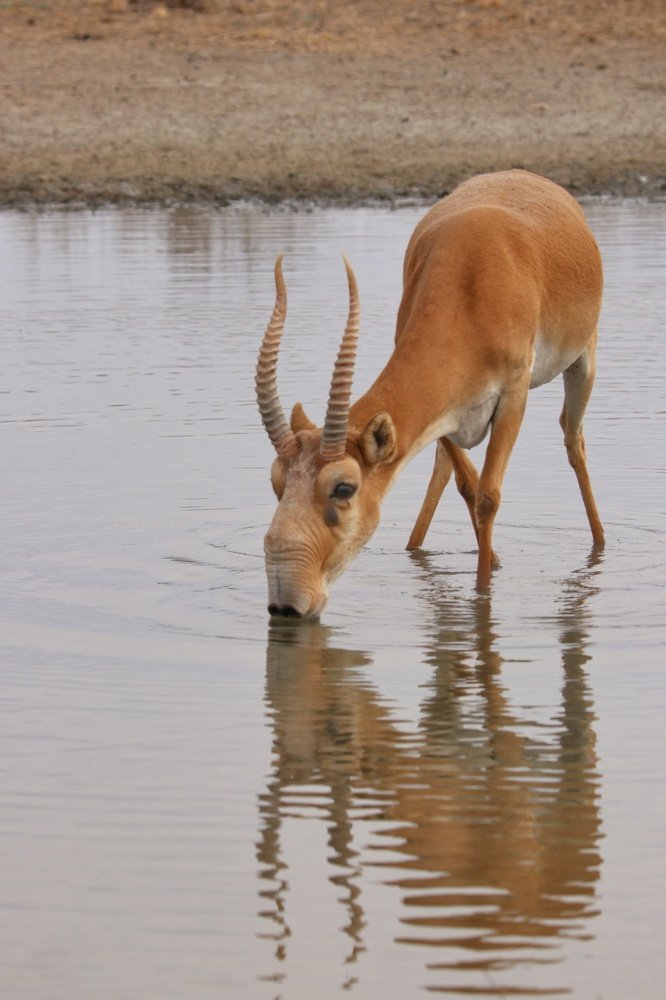 Photograph by Maria Tripoten