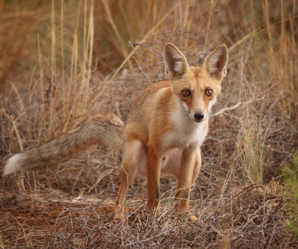 Photograph by Maria Tripoten