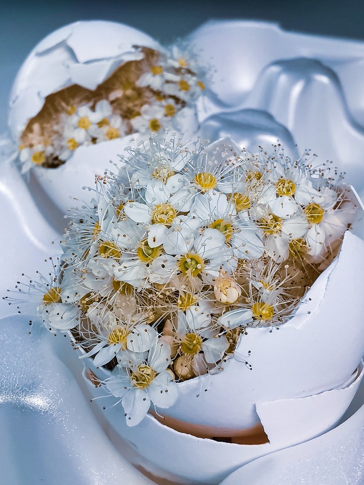 Photograph by Юлия Осипенко