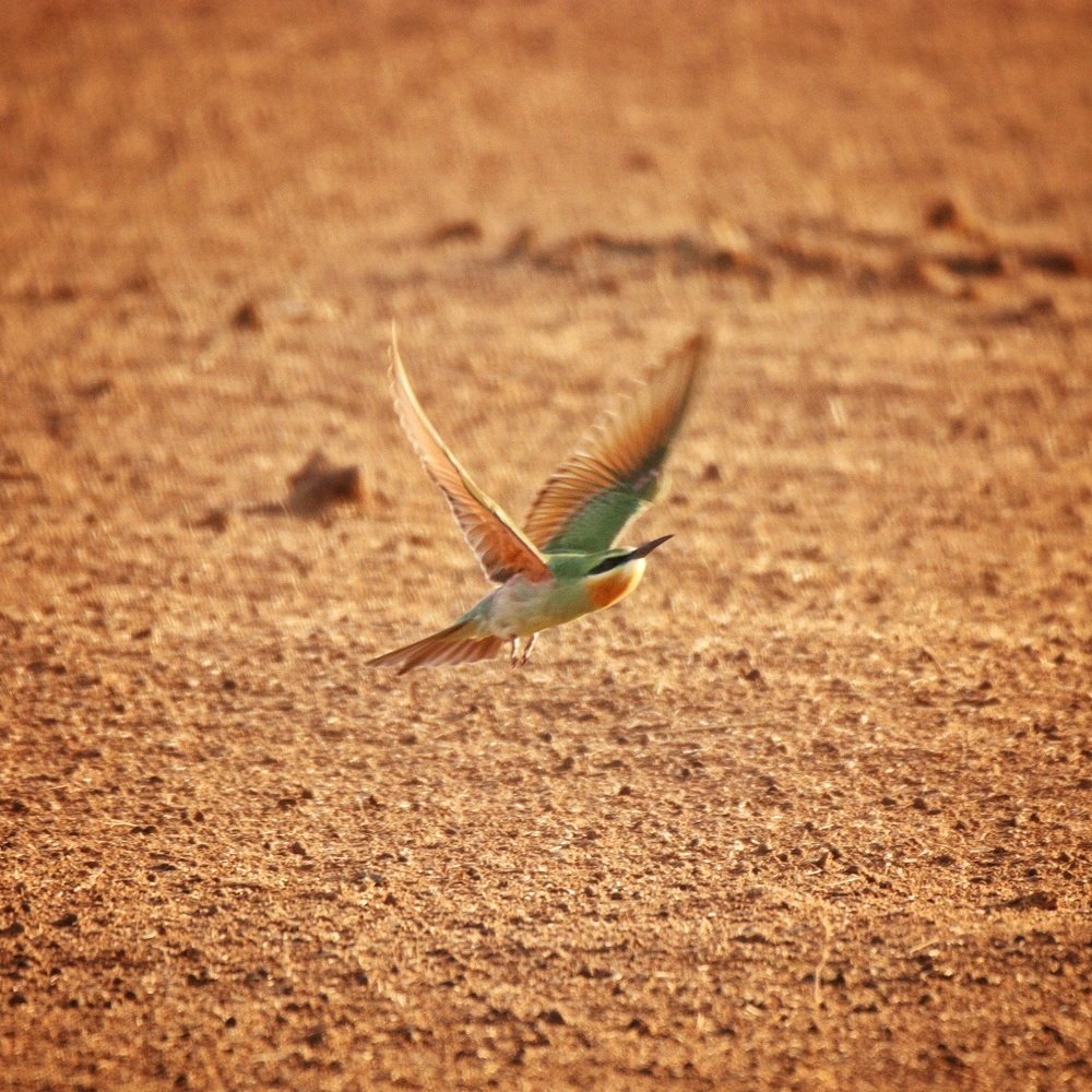 Photograph by Maria Tripoten