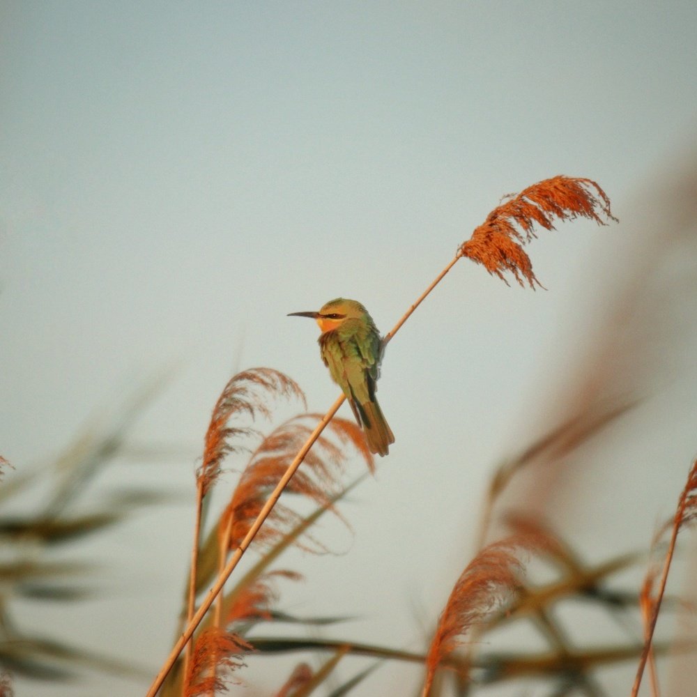 Photograph by Maria Tripoten