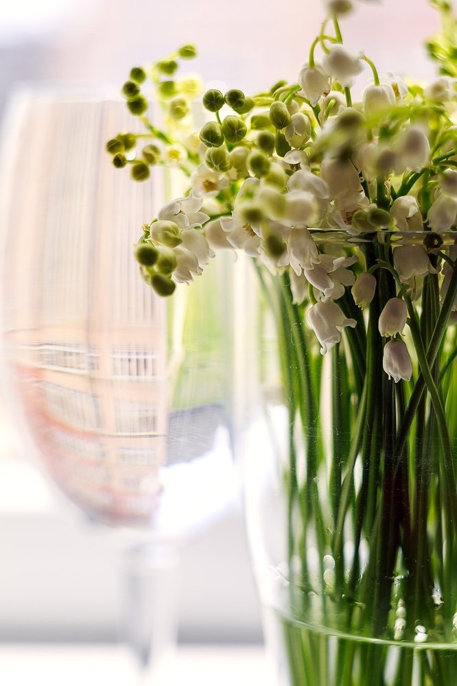 Photograph by Екатерина Рябикина