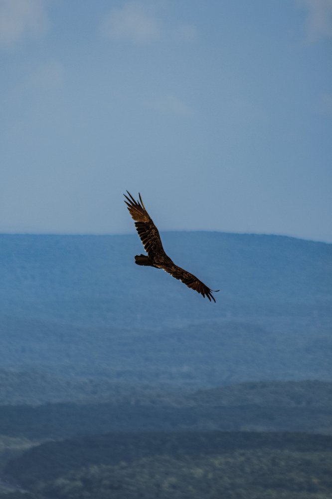 Photograph by Alisa Bryz-Gornia