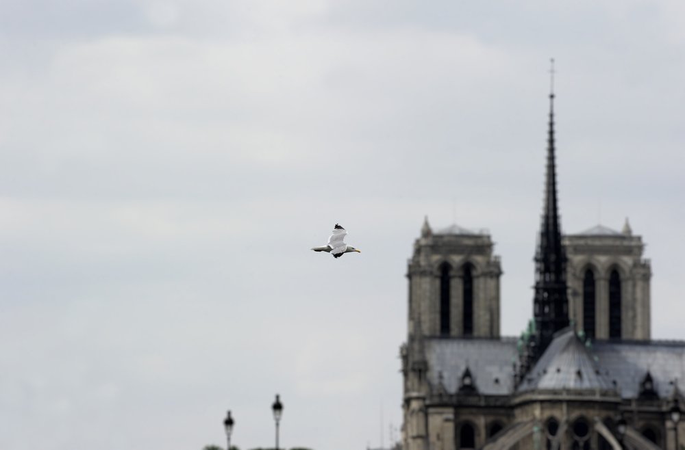 Photograph by LEON COLON