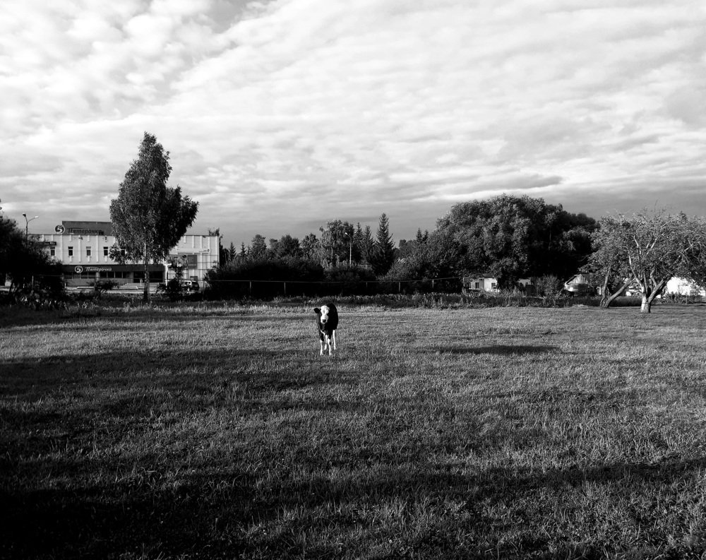 Photograph by Николай Филоненко