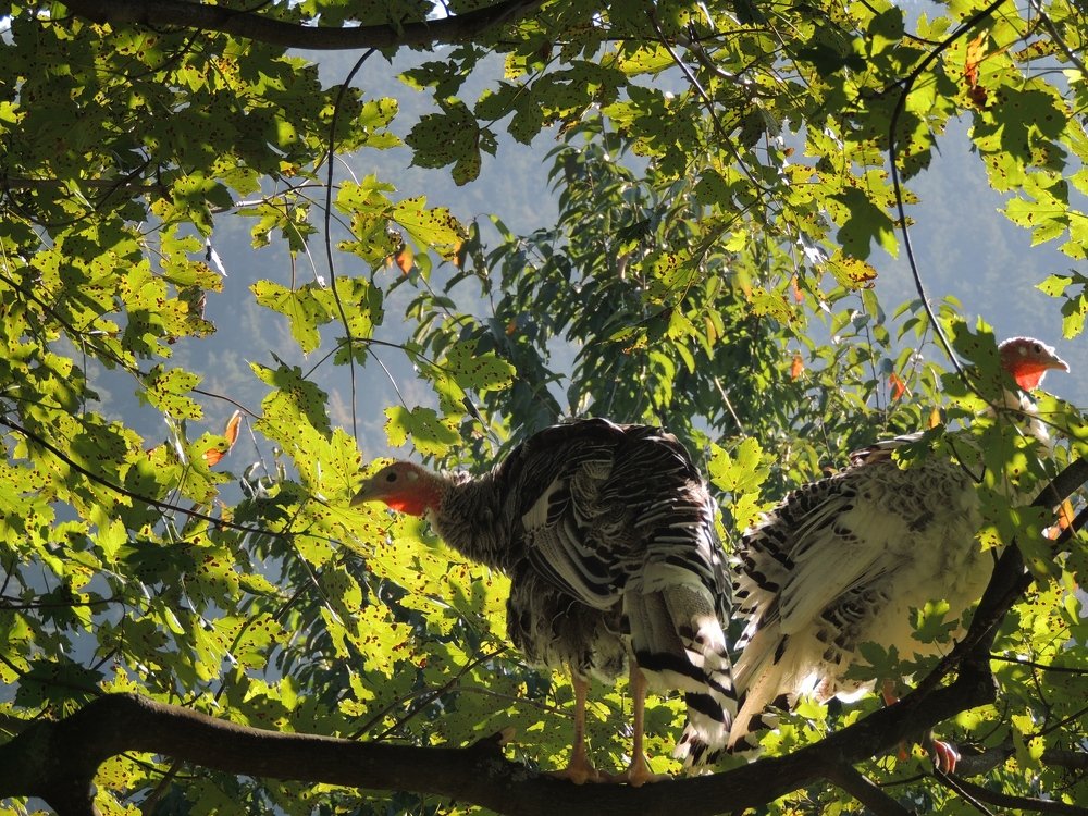 Фотография автора Роман Савоцкий