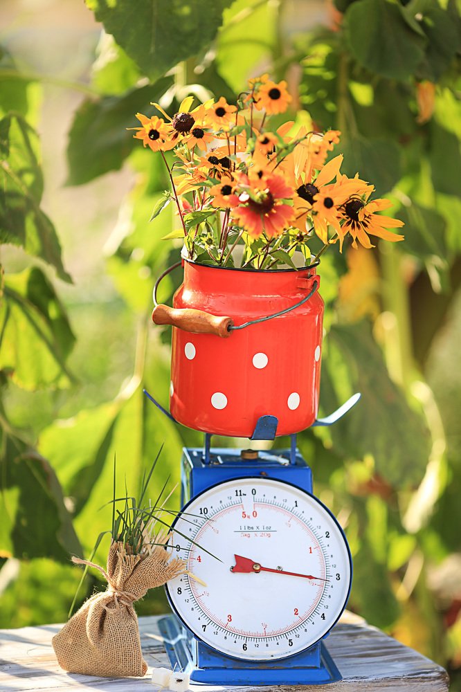 Photograph by Анастасия Кочеткова