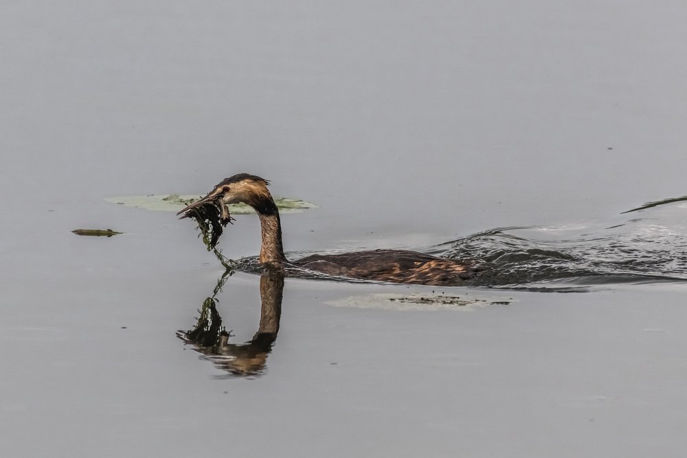 Photograph by Андрей Иванов