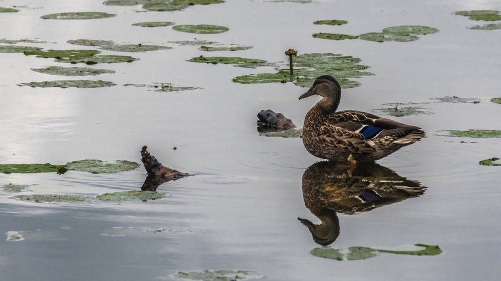 Photograph by Андрей Иванов