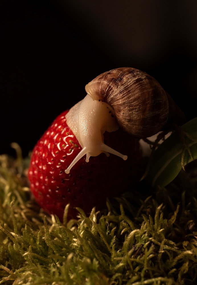 Photograph by Любовь Парфенова