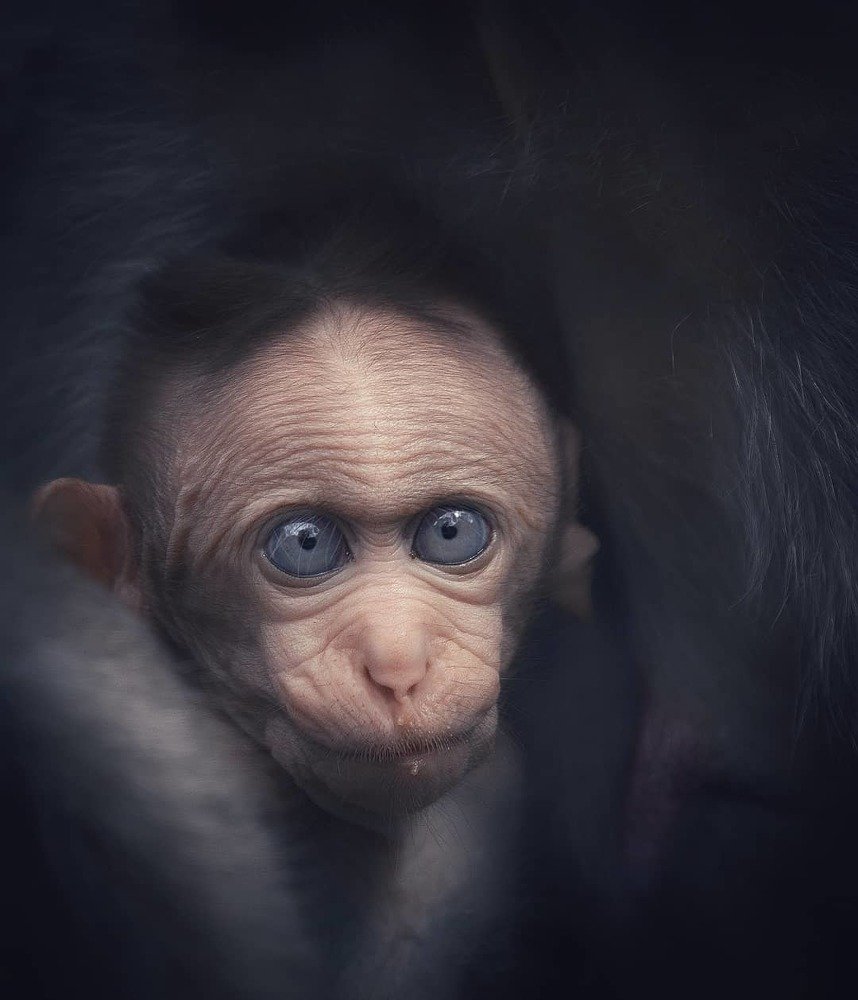 Photograph by Anirudh Vidyabhushan