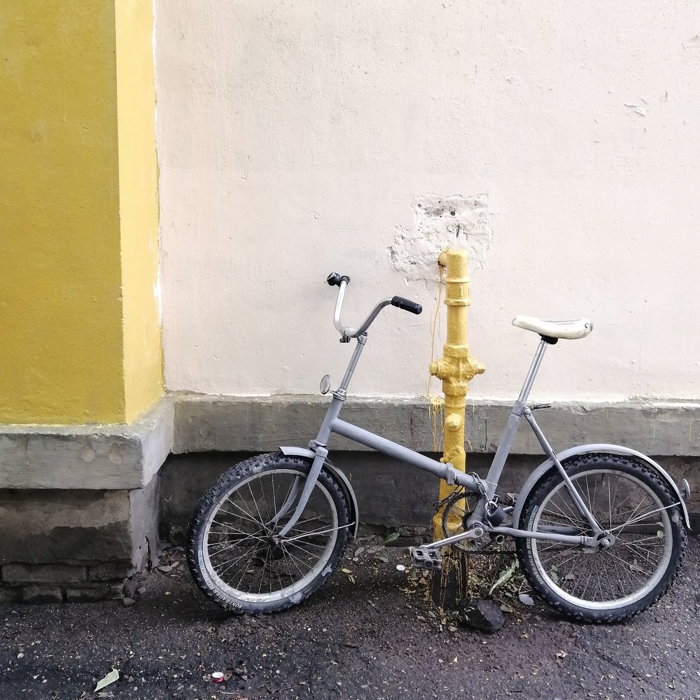 Photograph by Анастасия Василенко