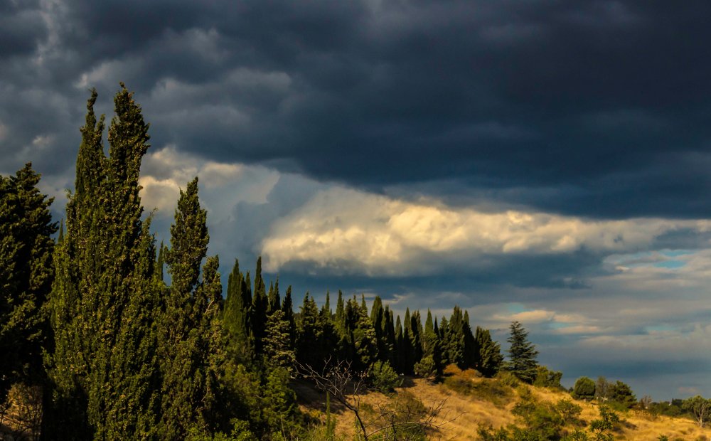 Перед дождем