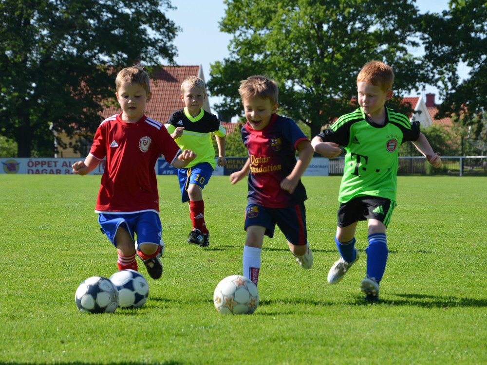 Д’Артаньян и три мушкетёра.