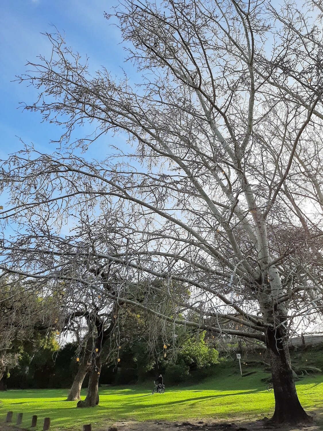Invierno en Bs As