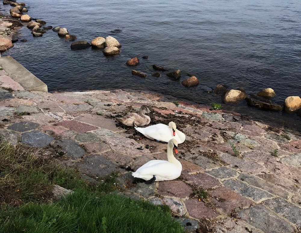 Photograph by Galina Leskova