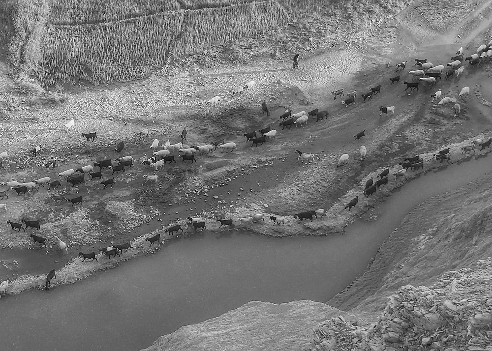 Photograph by Yahya Kakapour