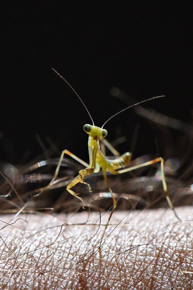 Photograph by Денис Черепко