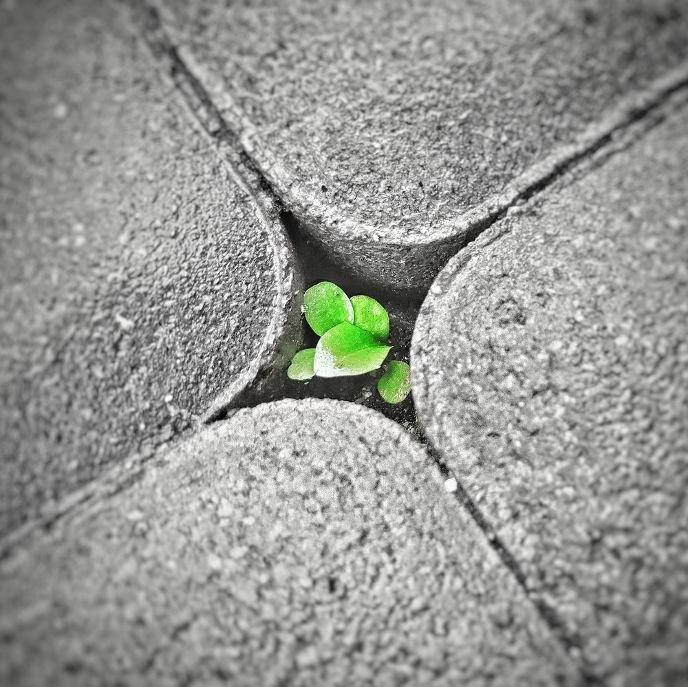 Фотография автора Сергей Побережниченко