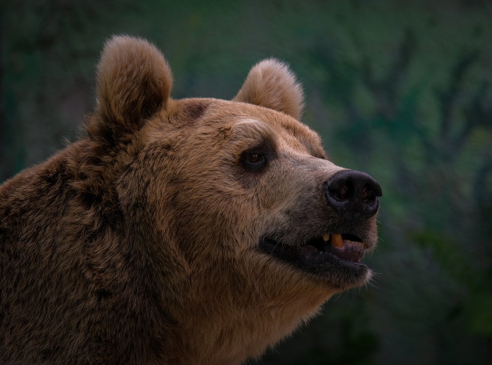 Photograph by Юрьевич Юрий