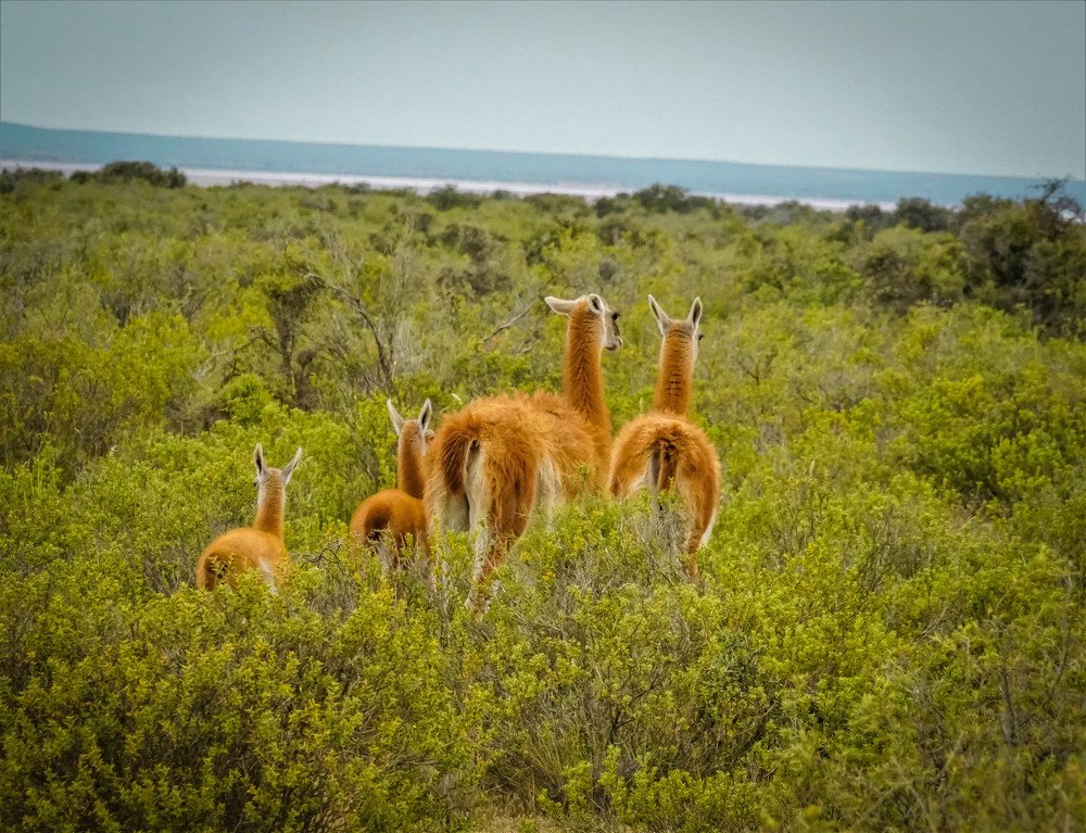 Photograph by Karina Elena Bergagna