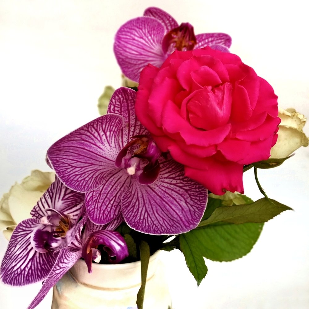 Фотография автора Сергей Побережниченко