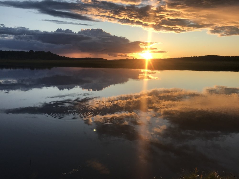 Вечерний клев