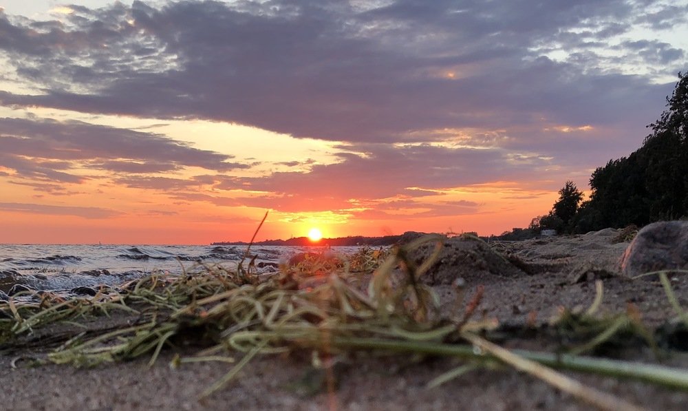 Photograph by Ali Boyko