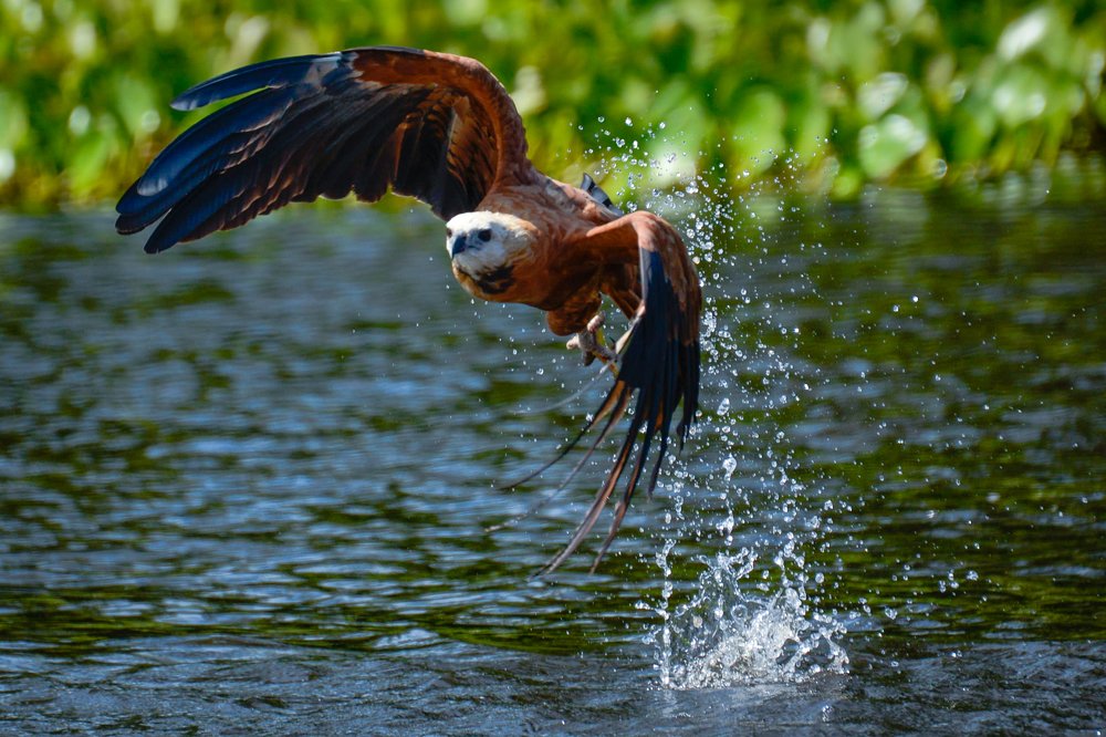 Photograph by Fabiano de Souza Vieira