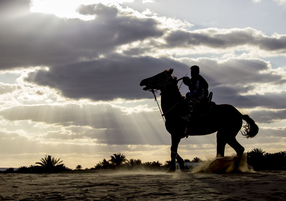 Photograph by Batoul Khalifa