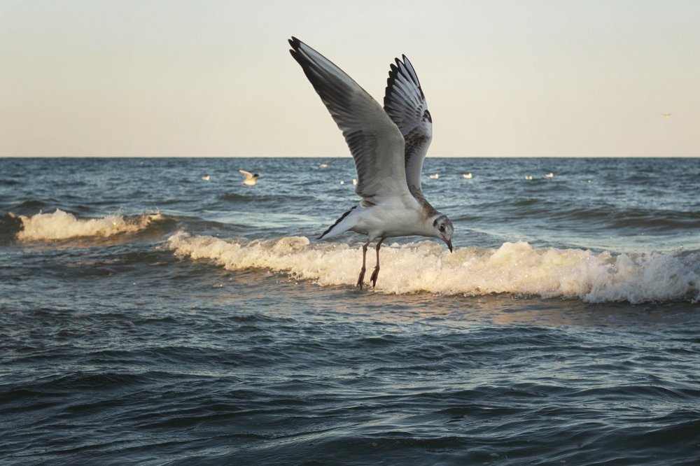 Photograph by Виктория Бурова