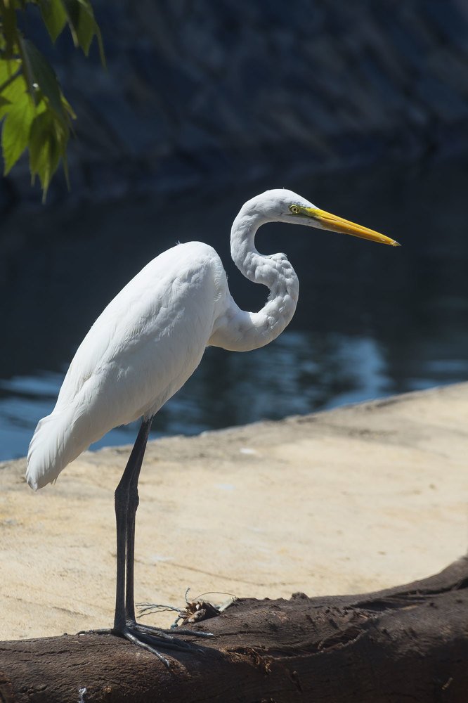 Photograph by Родичев Игорь Леонидович