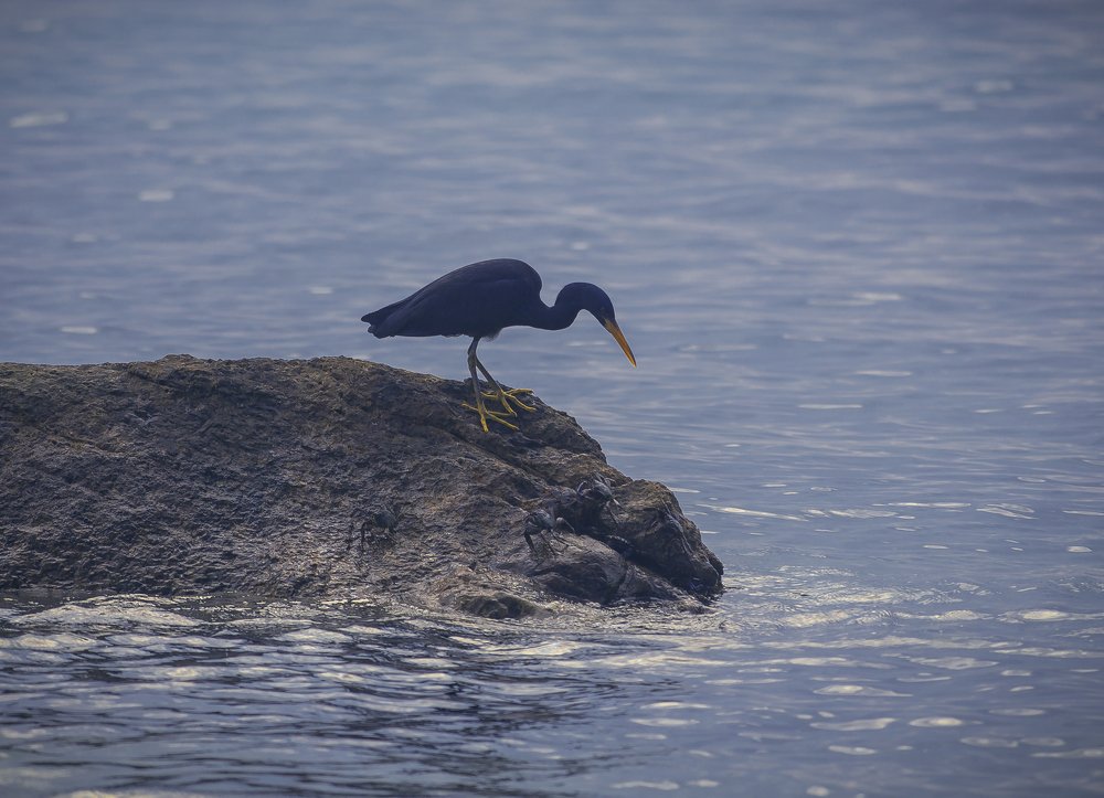 Photograph by Родичев Игорь Леонидович