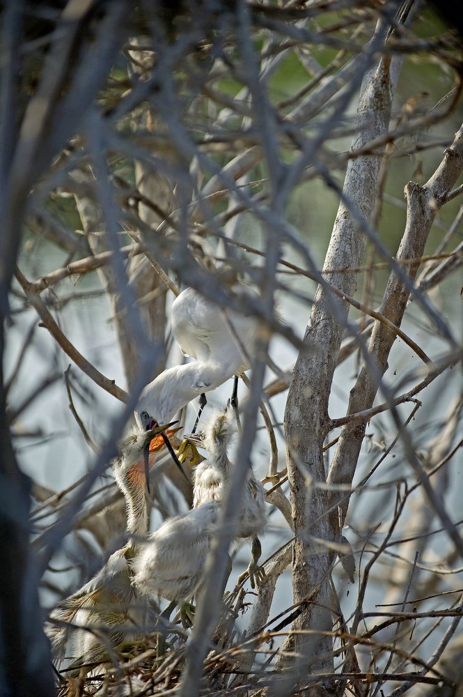 Фотография автора FOTINI KALTSIDOU