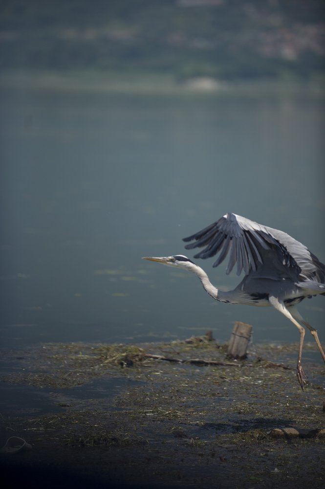 Фотография автора FOTINI KALTSIDOU
