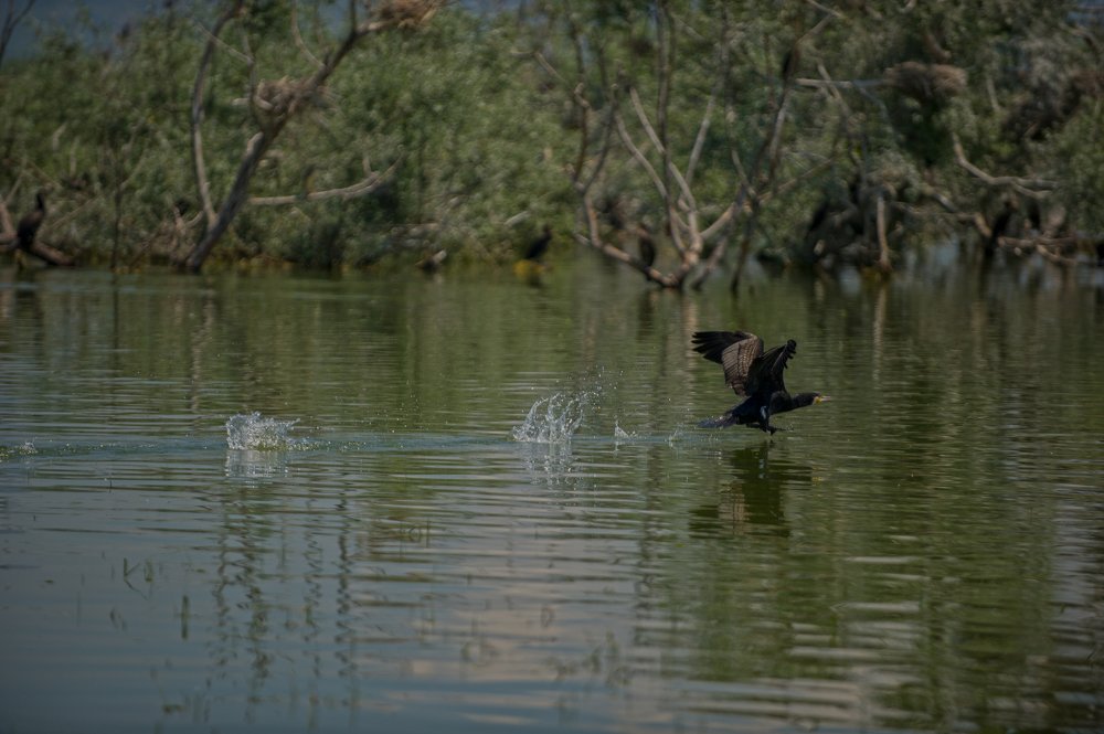 Фотография автора FOTINI KALTSIDOU