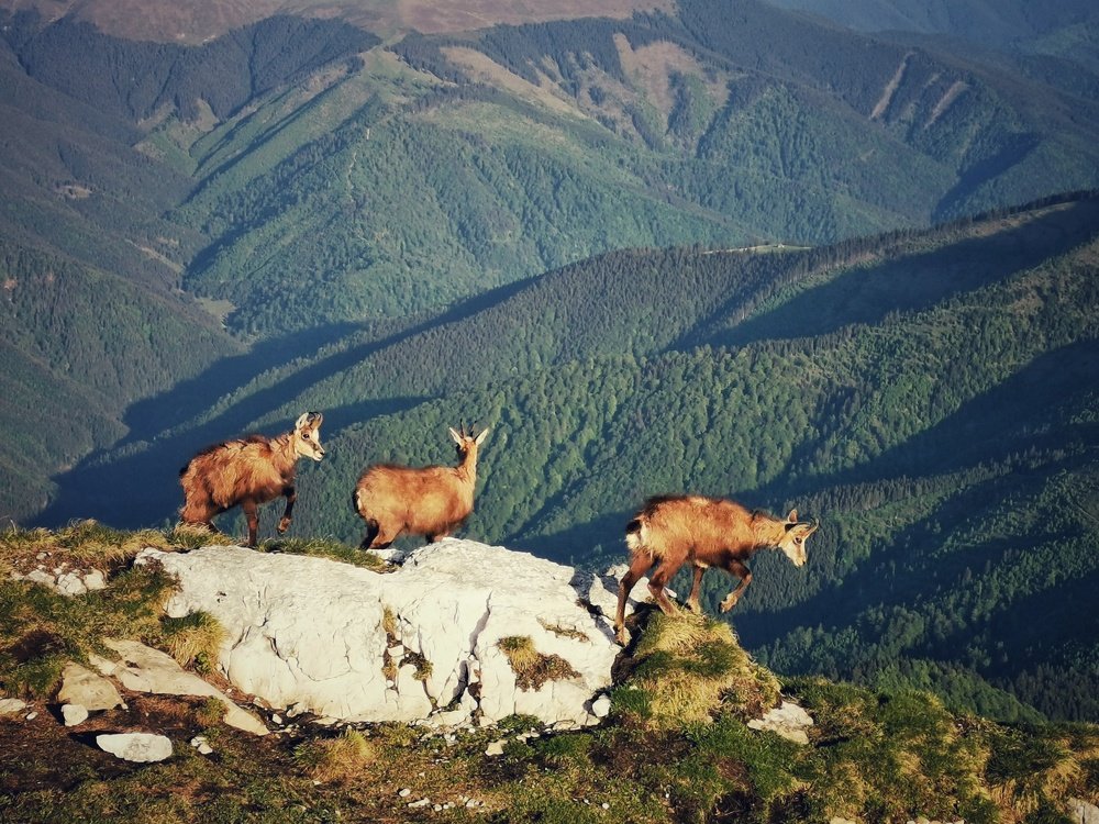 Photograph by Liviu Dumitru