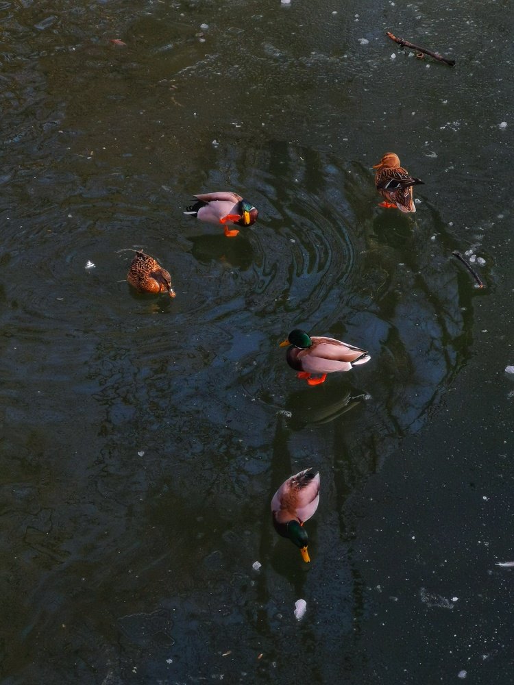 Photograph by Liviu Dumitru