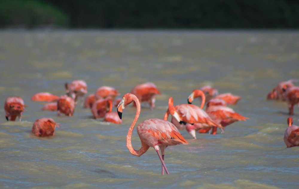 Photograph by Daniel Maraña