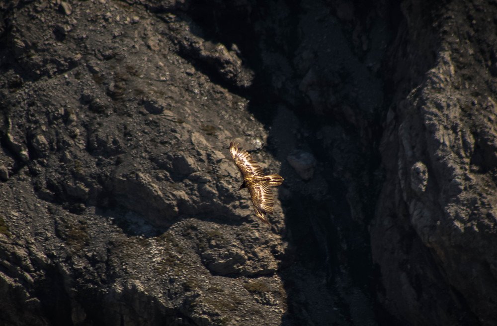 Photograph by Daniel Maraña