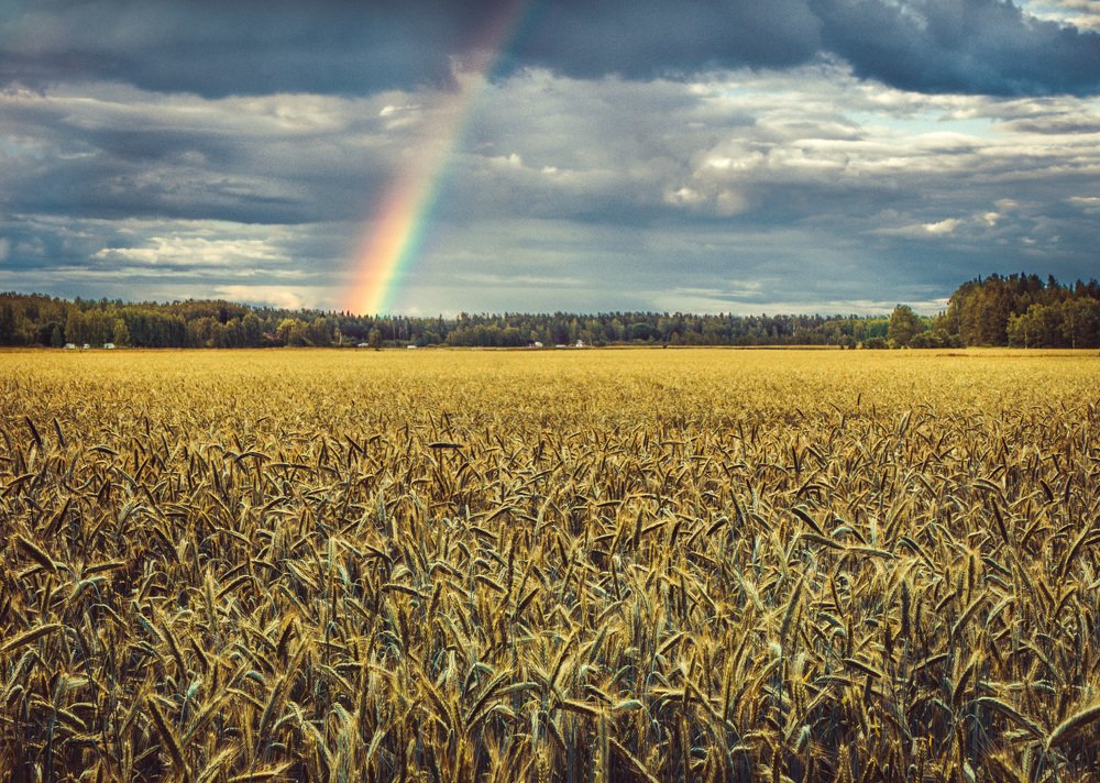 Photograph by Emīls Edgars Lukšo