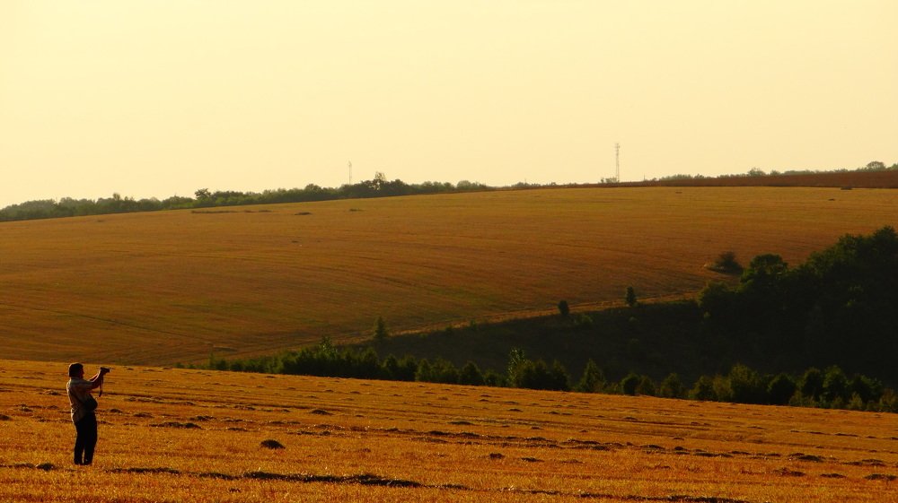 Photograph by Александра Семенихина