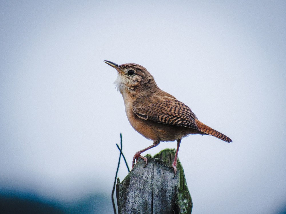 Photograph by Bryan Macay